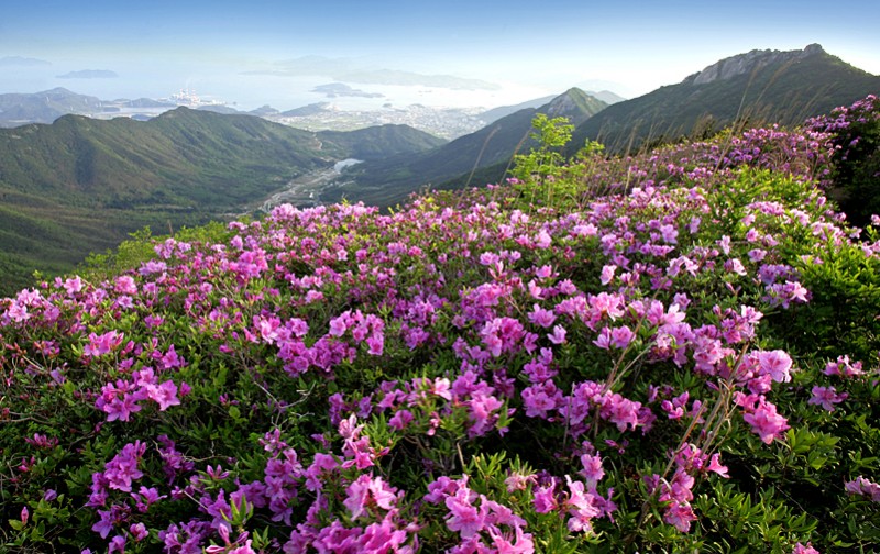 d41d6e8bc54879bdb1f98166ba629228_1508286588_7326.jpg d41d6e8bc54879bdb1f98166ba629228_1508286