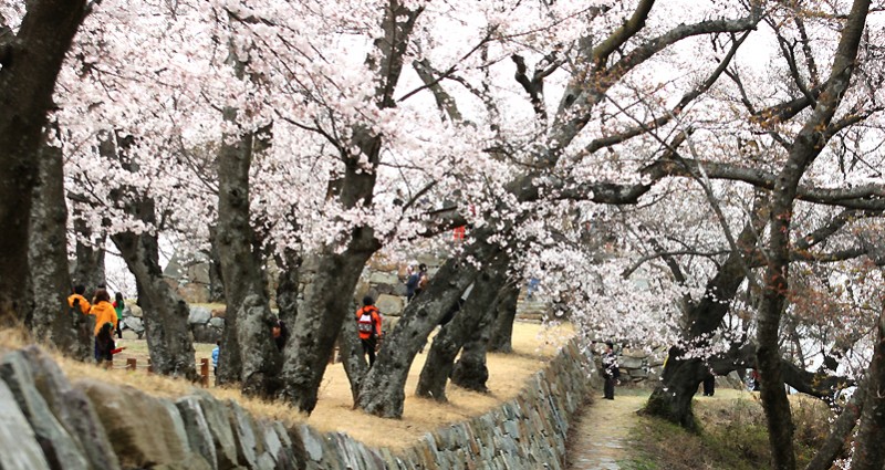 d41d6e8bc54879bdb1f98166ba629228_1508286613_1367.jpg d41d6e8bc54879bdb1f98166ba629228_1508286