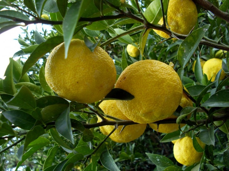 d41d6e8bc54879bdb1f98166ba629228_1508316