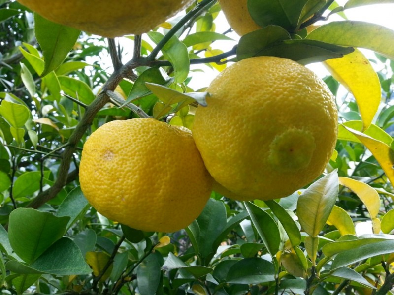 d41d6e8bc54879bdb1f98166ba629228_1508316