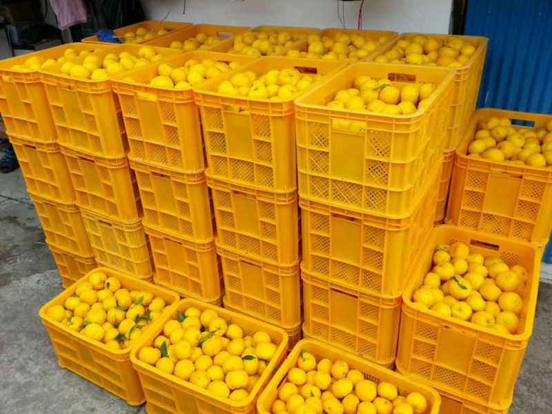 d41d6e8bc54879bdb1f98166ba629228_1508316